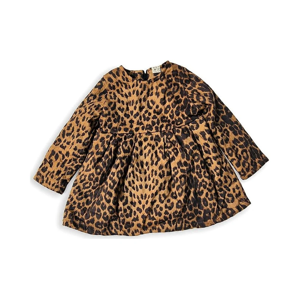 Leopard Print Dress